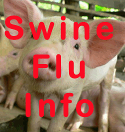 swine flu